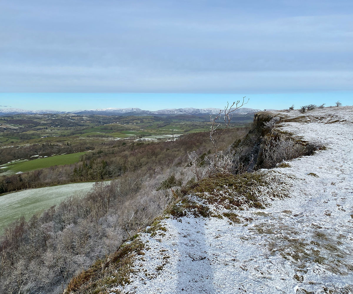 Furniture School Making Courses